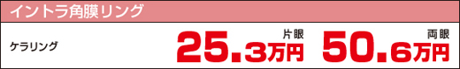 �C���g���p�������O