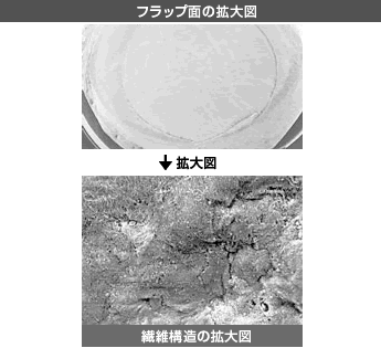 フェムトLDVクリスタルラインに比べ正常な組織構造を保ちにくい。