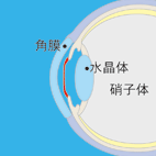 �}���ʒu�C���[�W