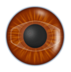 �p��C���[�W
