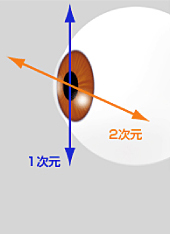 眼球認識が2次元（眼の動きを平面の動きとして認識）のため、眼が傾いた場合、照射位置がずれてしまう場合がある。